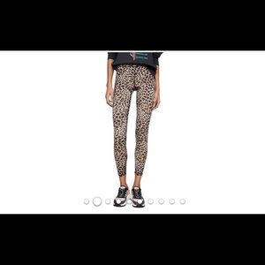 Leopard Spiritual Gangster leggings
